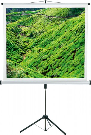 CombiFlex Budget - Bildwand - 150x150cm - 1:1 Typ D - Aufprojektion - mattweiß - Dreibein-Stativ