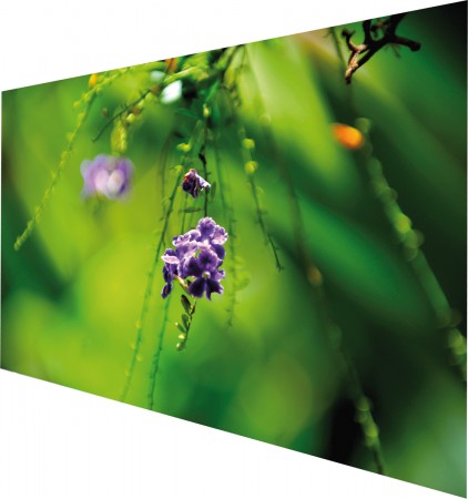 Bundle MEDIUM PureWhite BM/AM 500x313cm BxH 16:10 inklusive Wandbefestigung