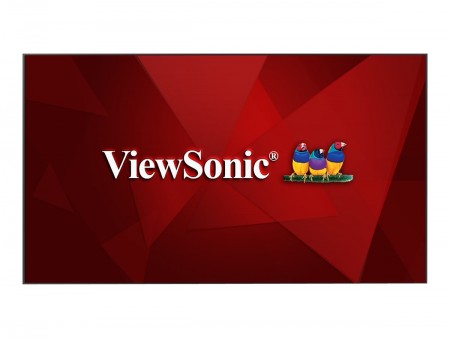 ViewSonic CDE9800 - 248.9 cm (98") Klasse (247.9 cm (97.6")