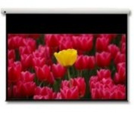 Optoma 16:9 Leinwand DE-9106EGA (106") Glasfaser, mattweiß, motorisiert