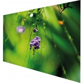 Bundle MEDIUM PureWhite BM/AM 500x313cm BxH 16:10 inklusive Wandbefestigung