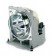 ViewSonic RLC-057 - Projektorlampe - 210 Watt - 4000 Stunde(n) (Standardmodus)