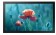 Samsung QB13R-T - 33 cm (13") Klasse QBR Series LED-Display - interaktive Digital Signage - mit