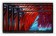 Promethean ActivPanel 86" Set mit Android-OPS