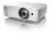Optoma W319ST - Digital-Projektor- 4000 ANSI-Lumen - WXGA (1280x800)