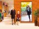 Sharp PN-HW861 - 217cm (86") Klasse LED-Display - Digital Signage - 4K UHD (2160p)