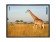 Promethean ActivBoard 10Touch 88 Dry Erase 88" interak. Whiteboard 16:10